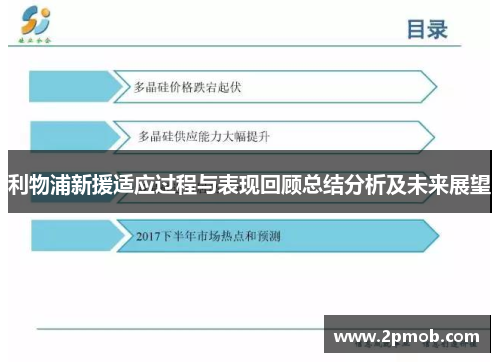 利物浦新援适应过程与表现回顾总结分析及未来展望